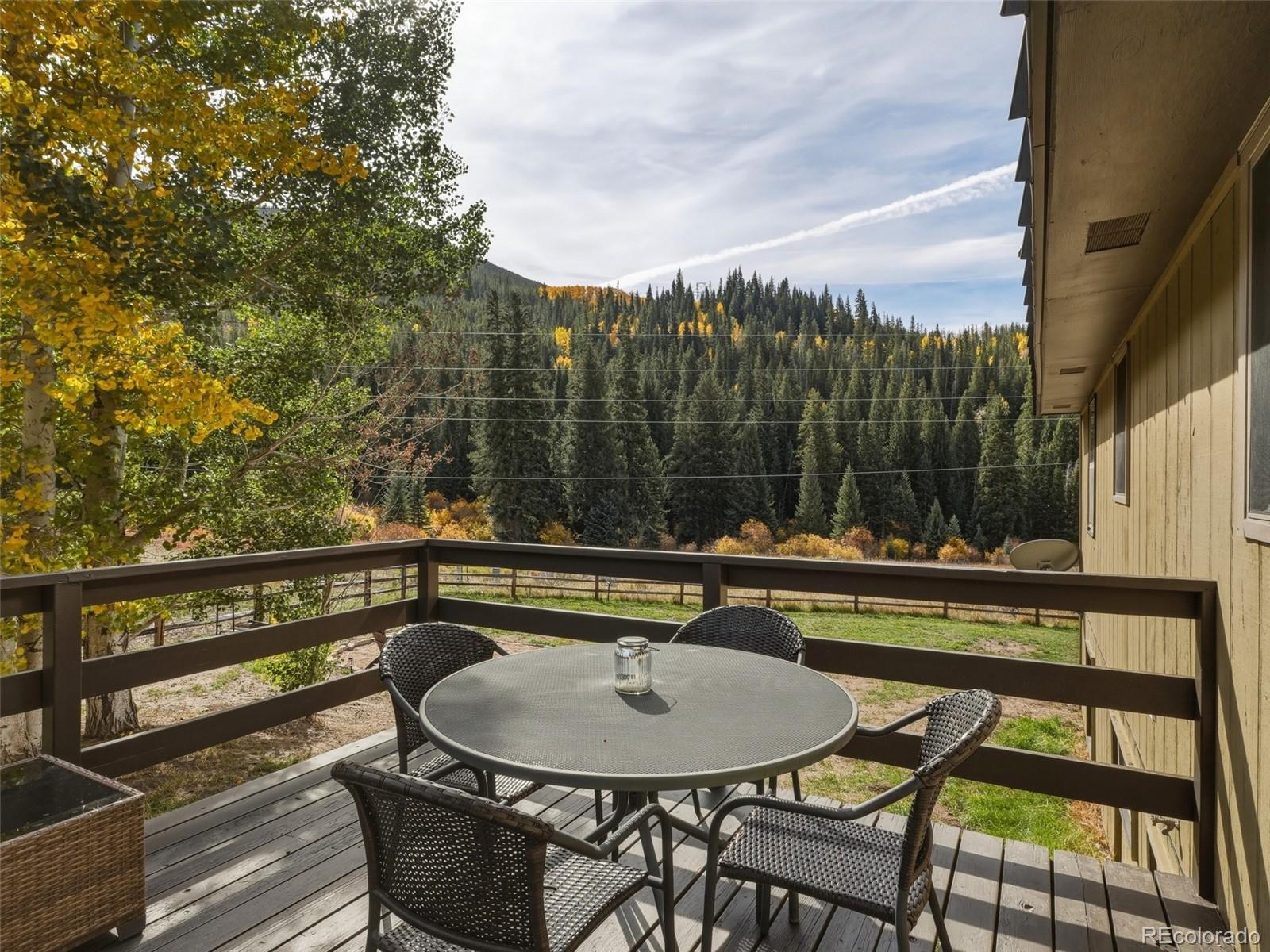 MLS Image #7 for 1294  straight creek drive,dillon, Colorado