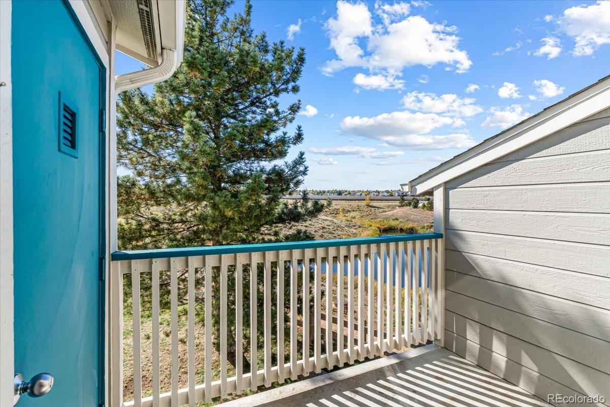 MLS Image #12 for 3712  cactus creek court,highlands ranch, Colorado