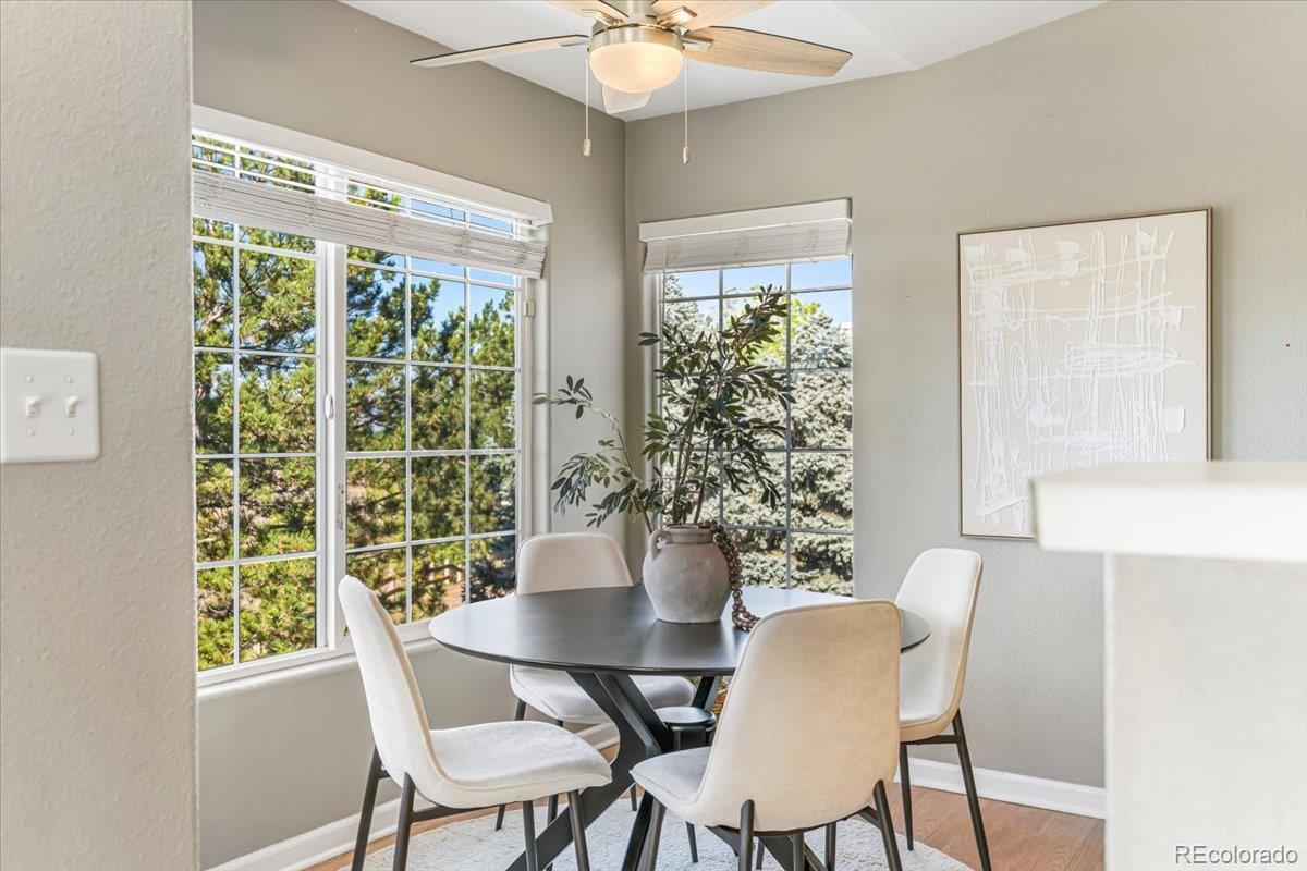 MLS Image #21 for 3712  cactus creek court,highlands ranch, Colorado