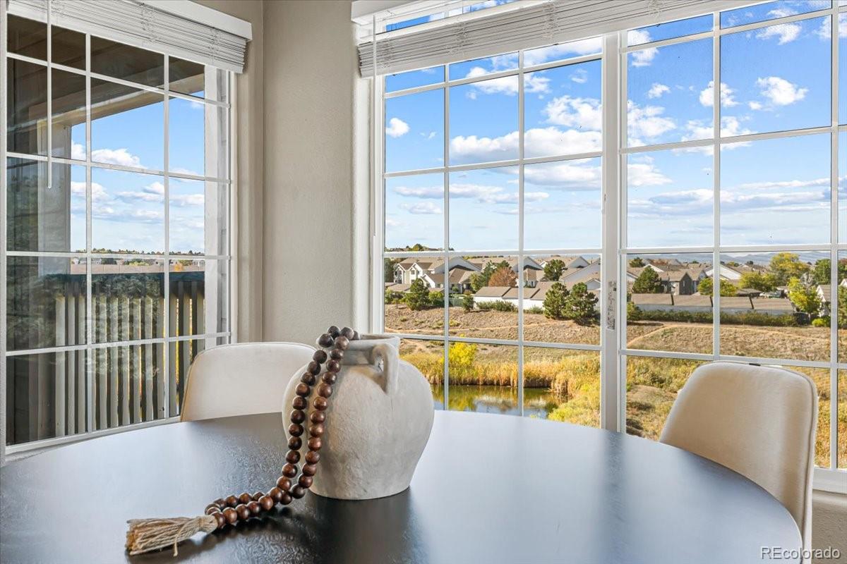 MLS Image #22 for 3712  cactus creek court,highlands ranch, Colorado