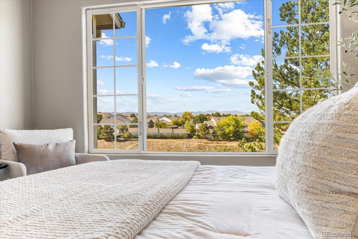 MLS Image #27 for 3712  cactus creek court,highlands ranch, Colorado