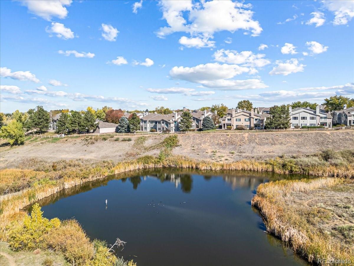 MLS Image #35 for 3712  cactus creek court,highlands ranch, Colorado