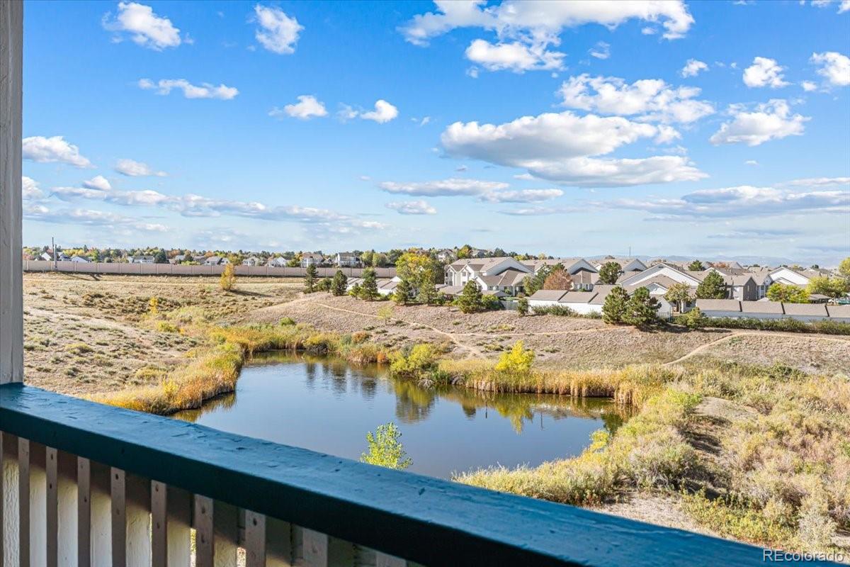 MLS Image #37 for 3712  cactus creek court,highlands ranch, Colorado