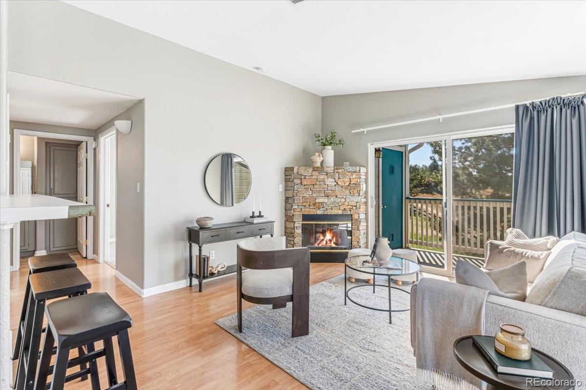 MLS Image #6 for 3712  cactus creek court,highlands ranch, Colorado