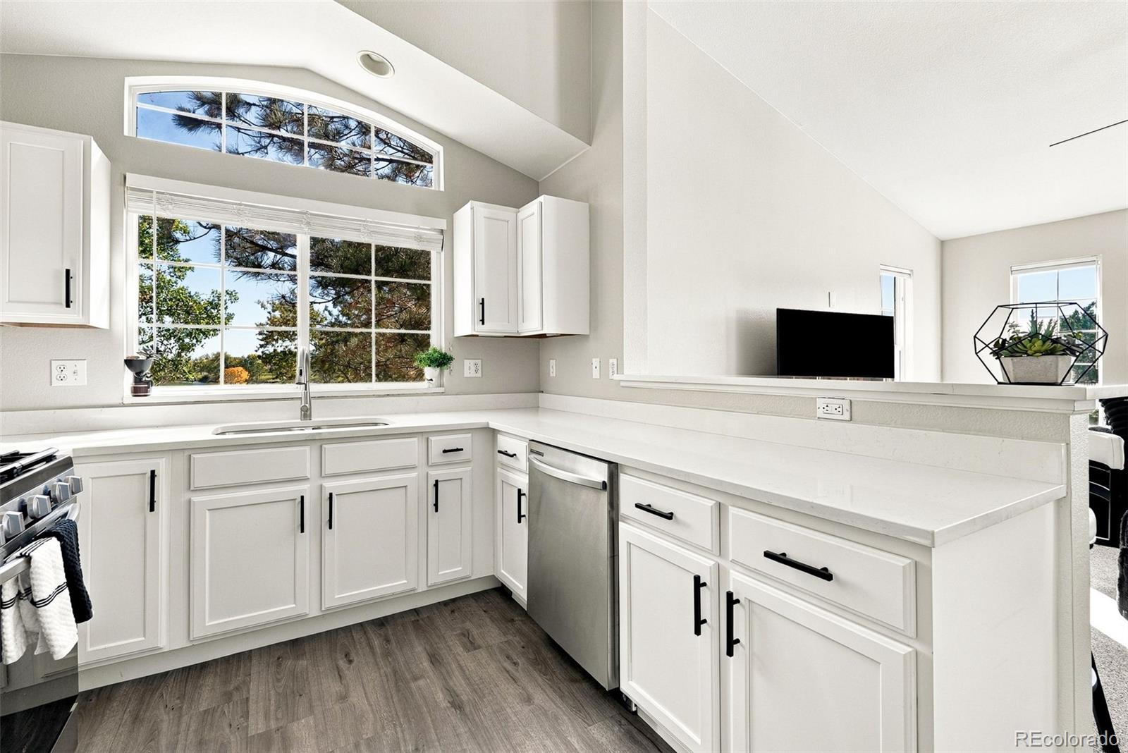 MLS Image #9 for 7700 w grant ranch boulevard 1a,denver, Colorado