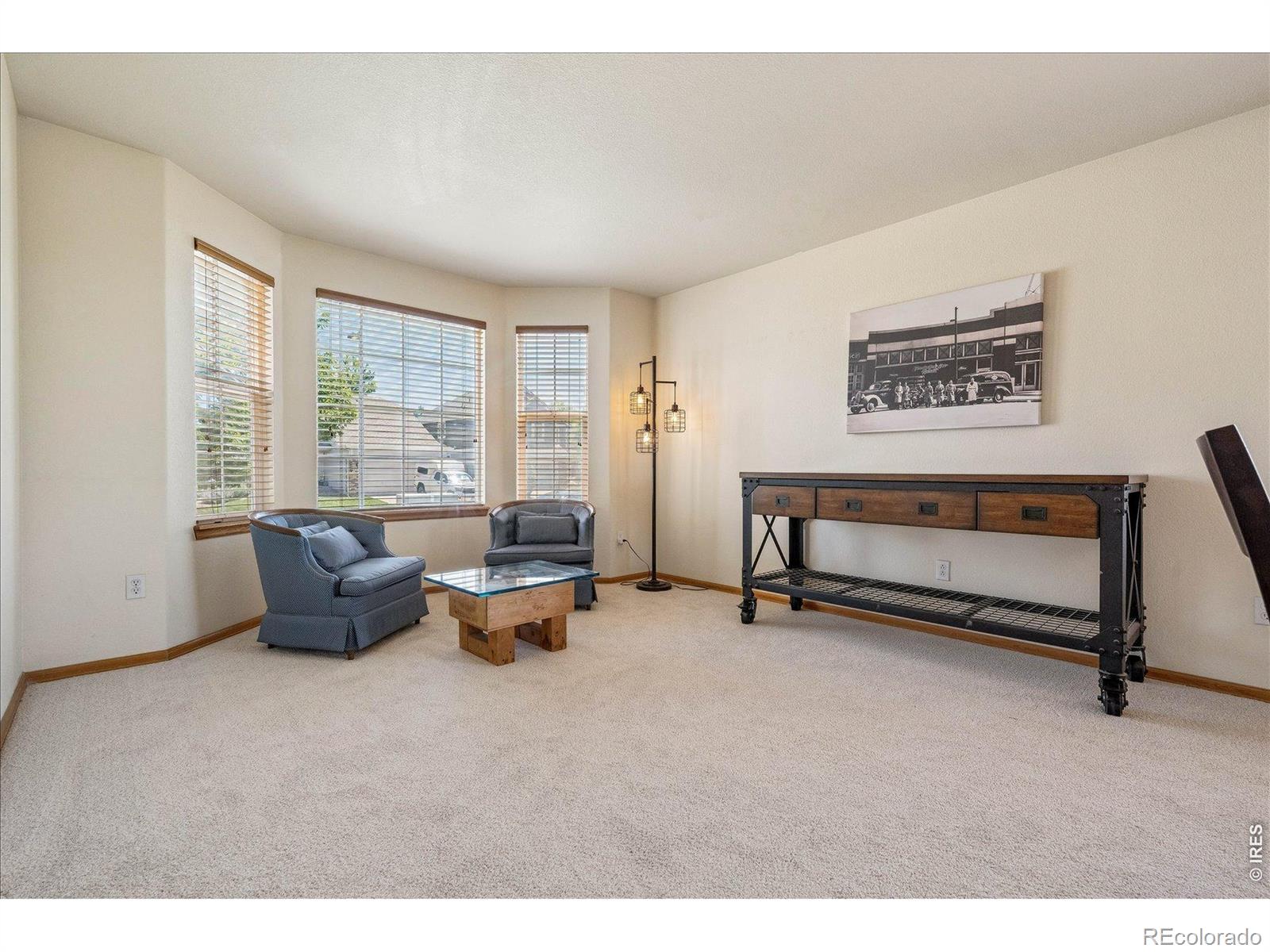 MLS Image #5 for 8419  dove ridge way,parker, Colorado