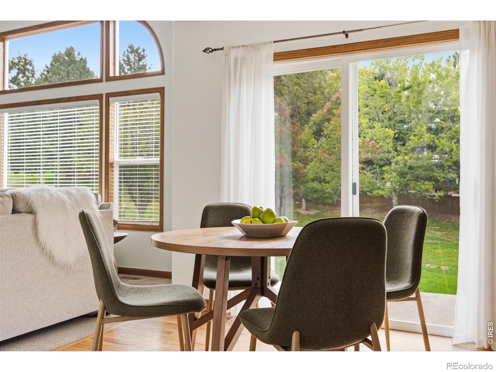 MLS Image #13 for 412  flagler road,fort collins, Colorado