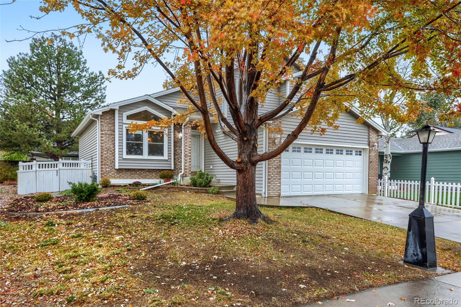 MLS Image #3 for 1805  spencer street,longmont, Colorado