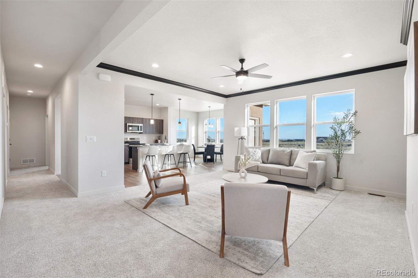 MLS Image #4 for 824 e loma drive,pueblo west, Colorado