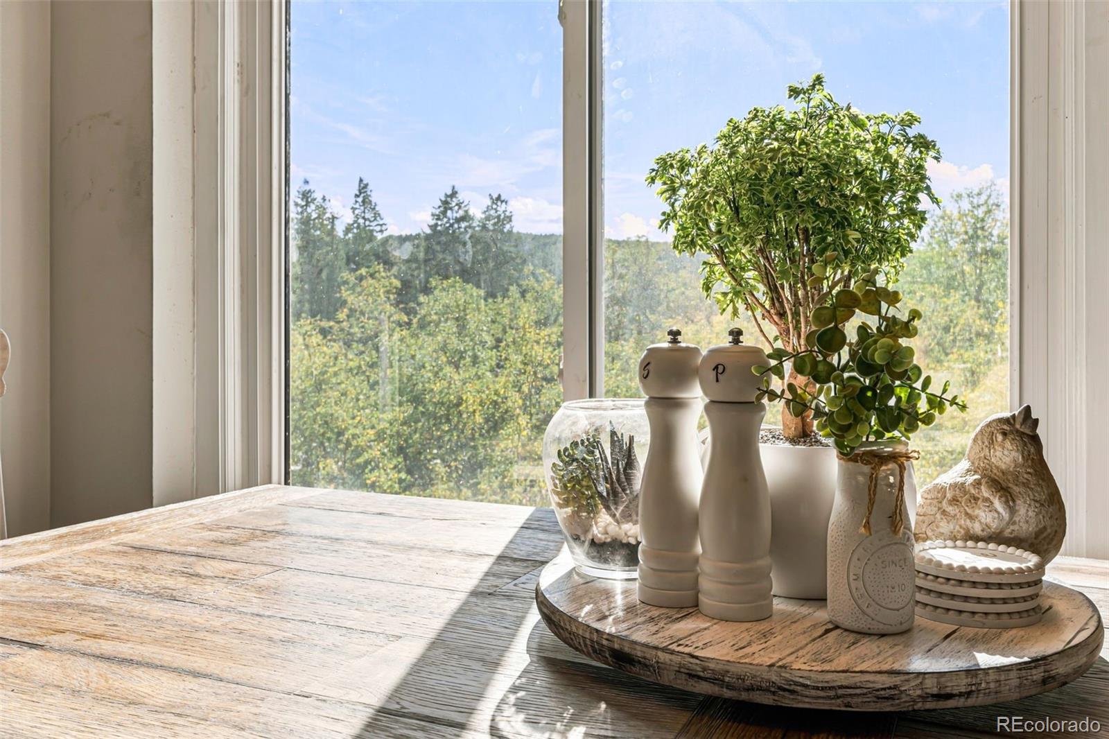 MLS Image #13 for 7796  columbine lane,sedalia, Colorado