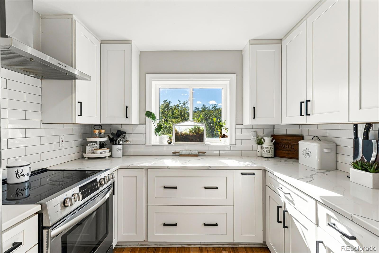 MLS Image #15 for 7796  columbine lane,sedalia, Colorado