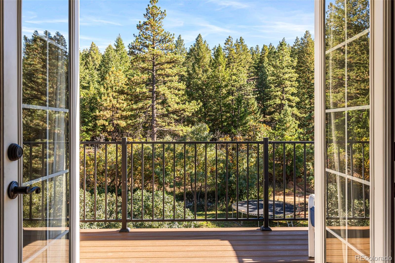 MLS Image #23 for 7796  columbine lane,sedalia, Colorado