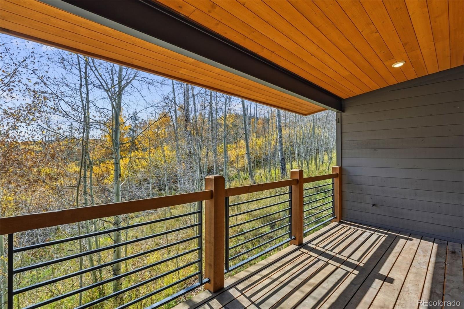 MLS Image #25 for 67  coumbe crossing,silverthorne, Colorado