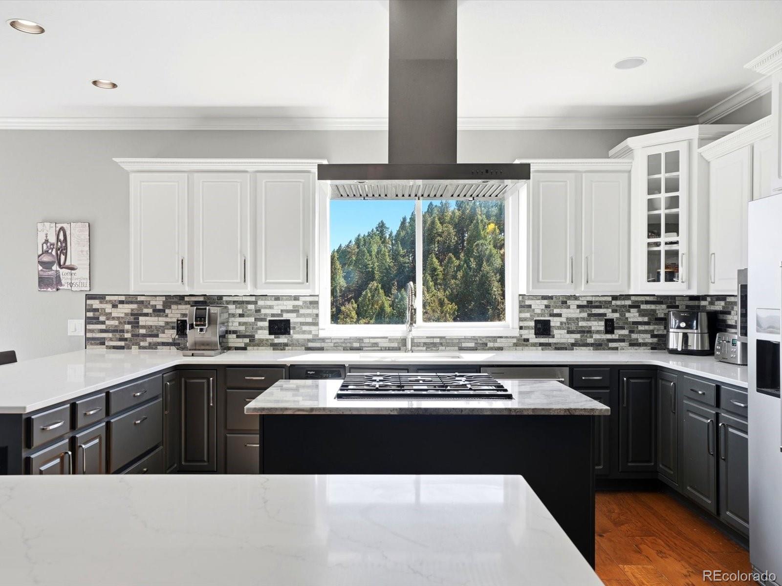 MLS Image #13 for 13084  deer ridge way,larkspur, Colorado