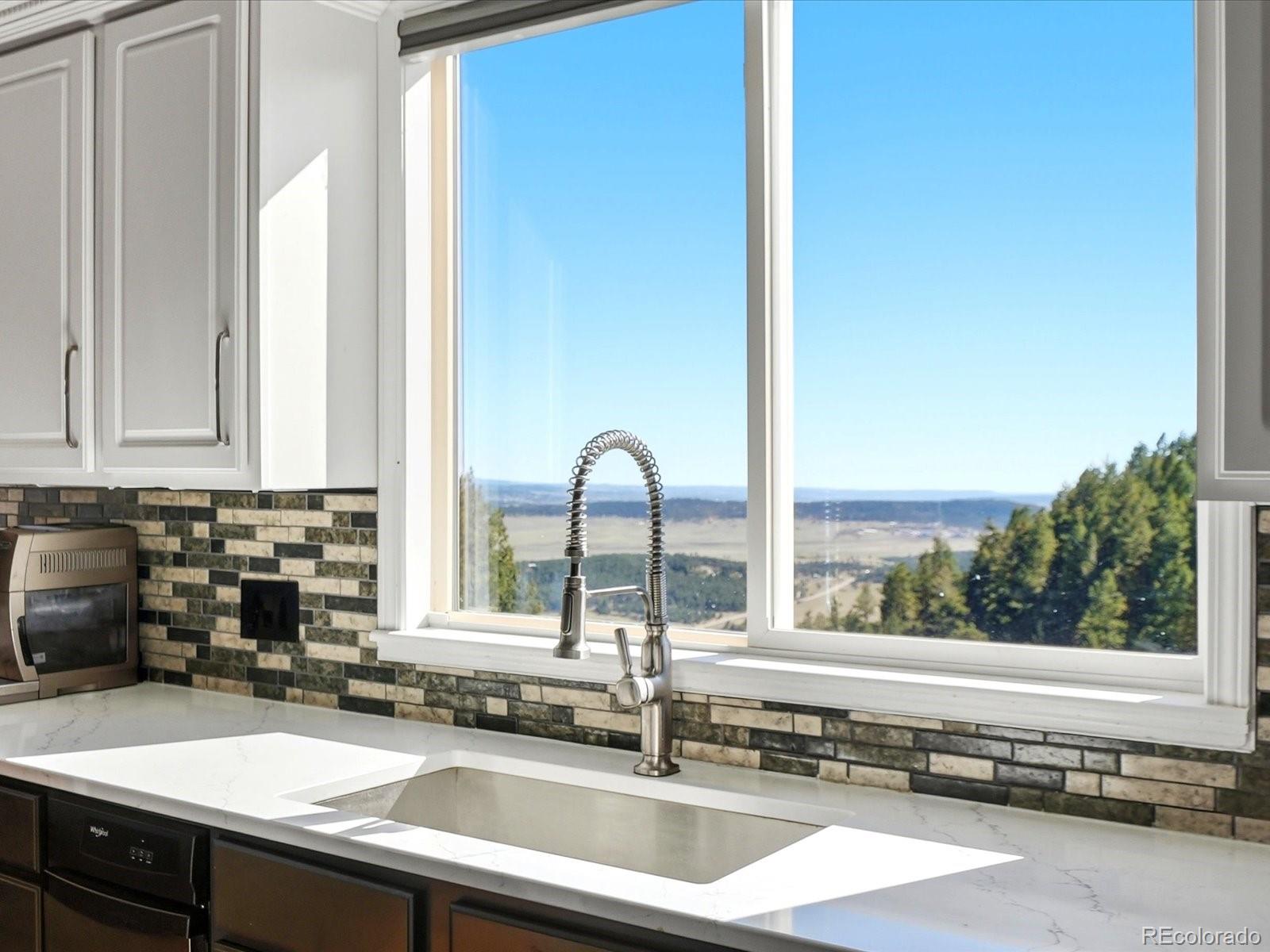 MLS Image #14 for 13084  deer ridge way,larkspur, Colorado