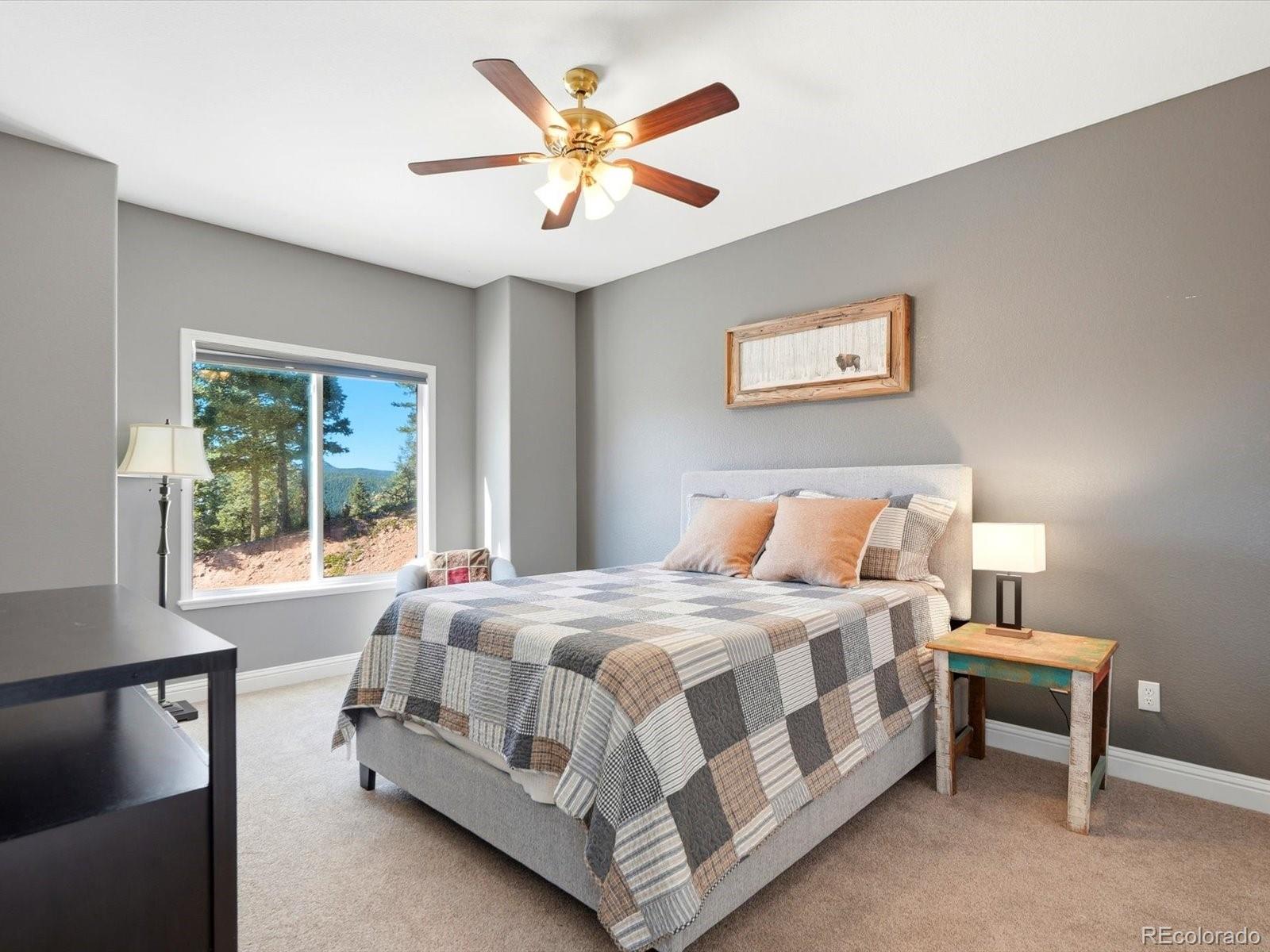 MLS Image #20 for 13084  deer ridge way,larkspur, Colorado