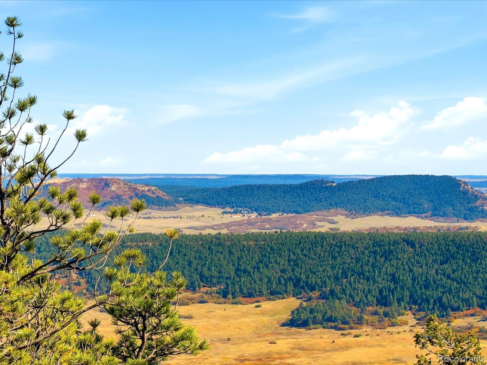 MLS Image #33 for 13084  deer ridge way,larkspur, Colorado