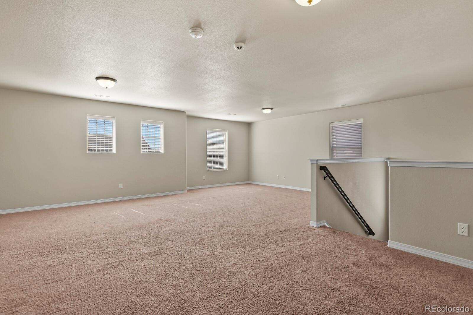 MLS Image #16 for 7310  thorn brush way,colorado springs, Colorado