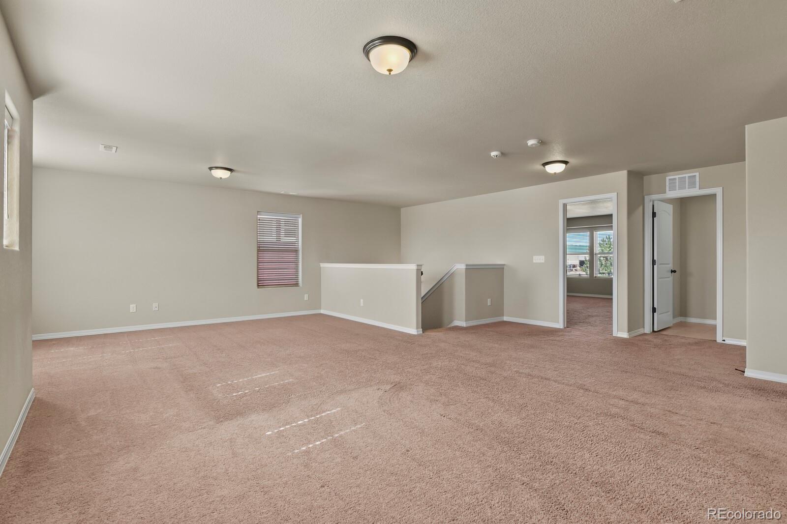 MLS Image #17 for 7310  thorn brush way,colorado springs, Colorado