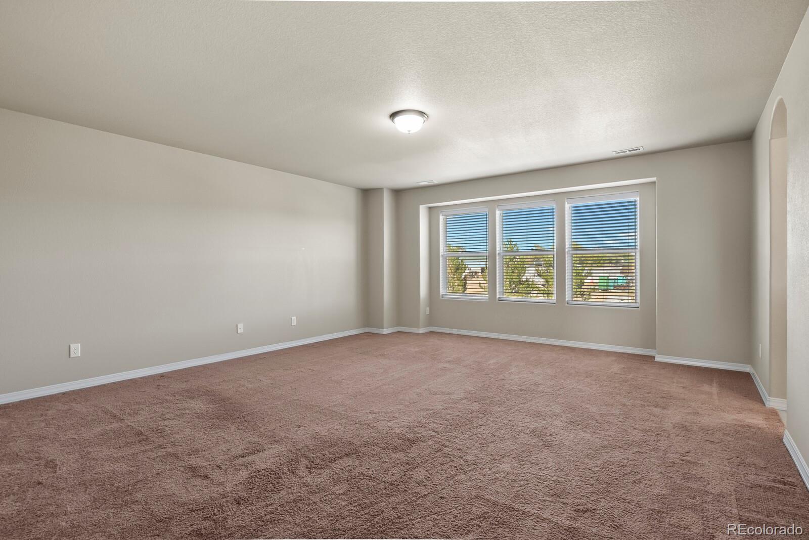 MLS Image #19 for 7310  thorn brush way,colorado springs, Colorado