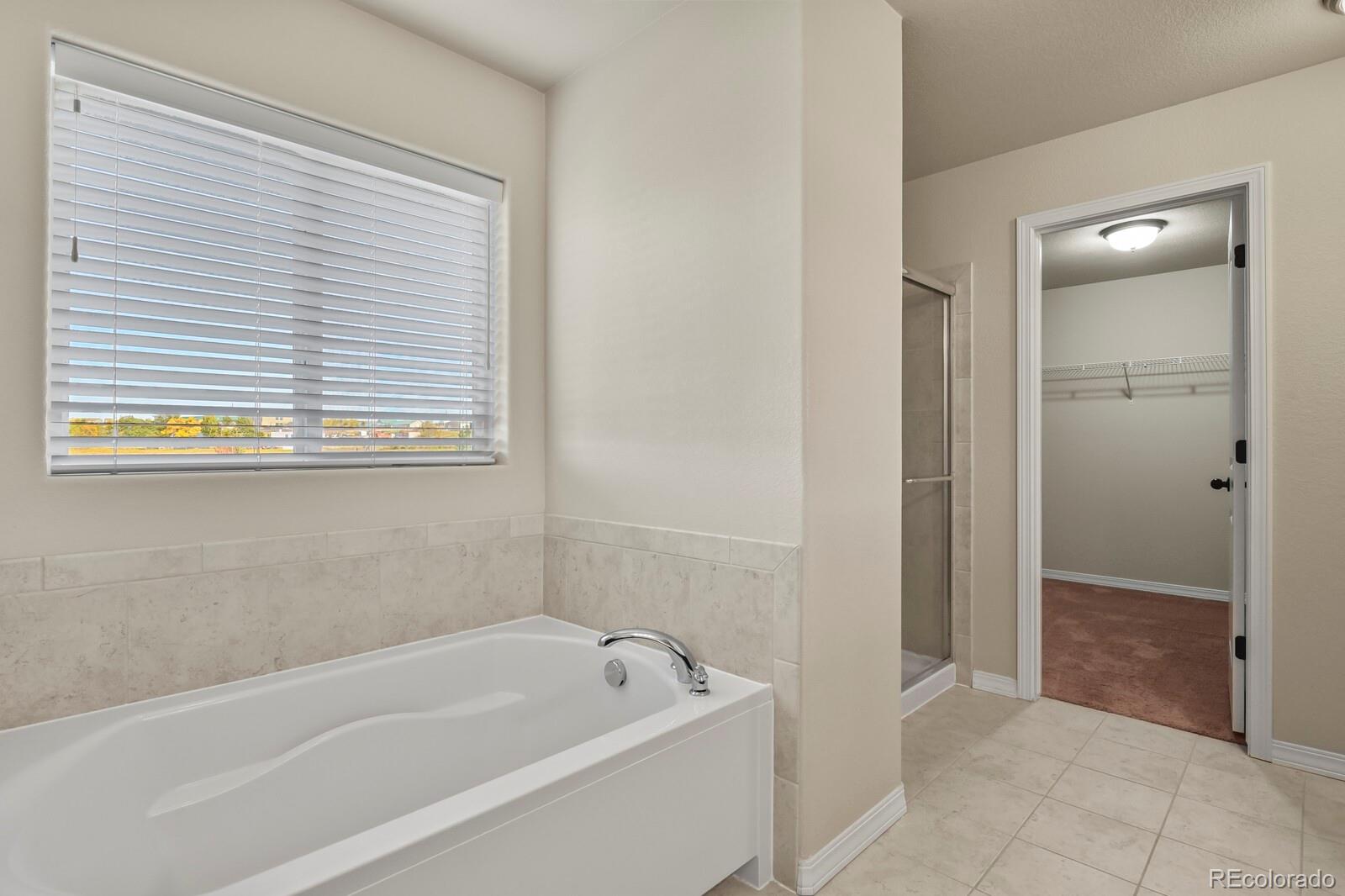 MLS Image #22 for 7310  thorn brush way,colorado springs, Colorado