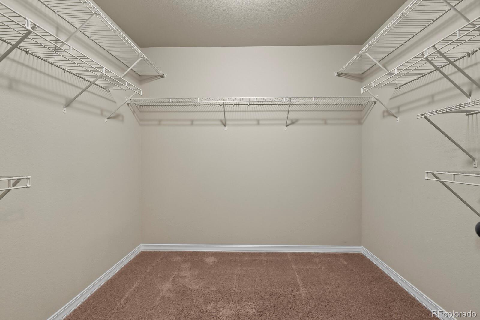 MLS Image #24 for 7310  thorn brush way,colorado springs, Colorado