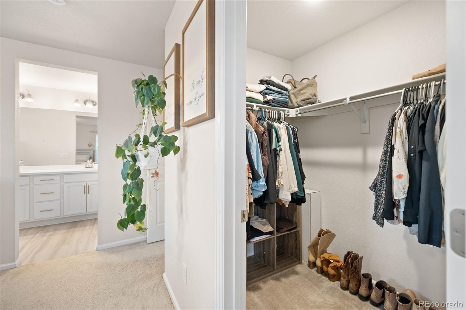 MLS Image #22 for 9192  rio lado street,littleton, Colorado