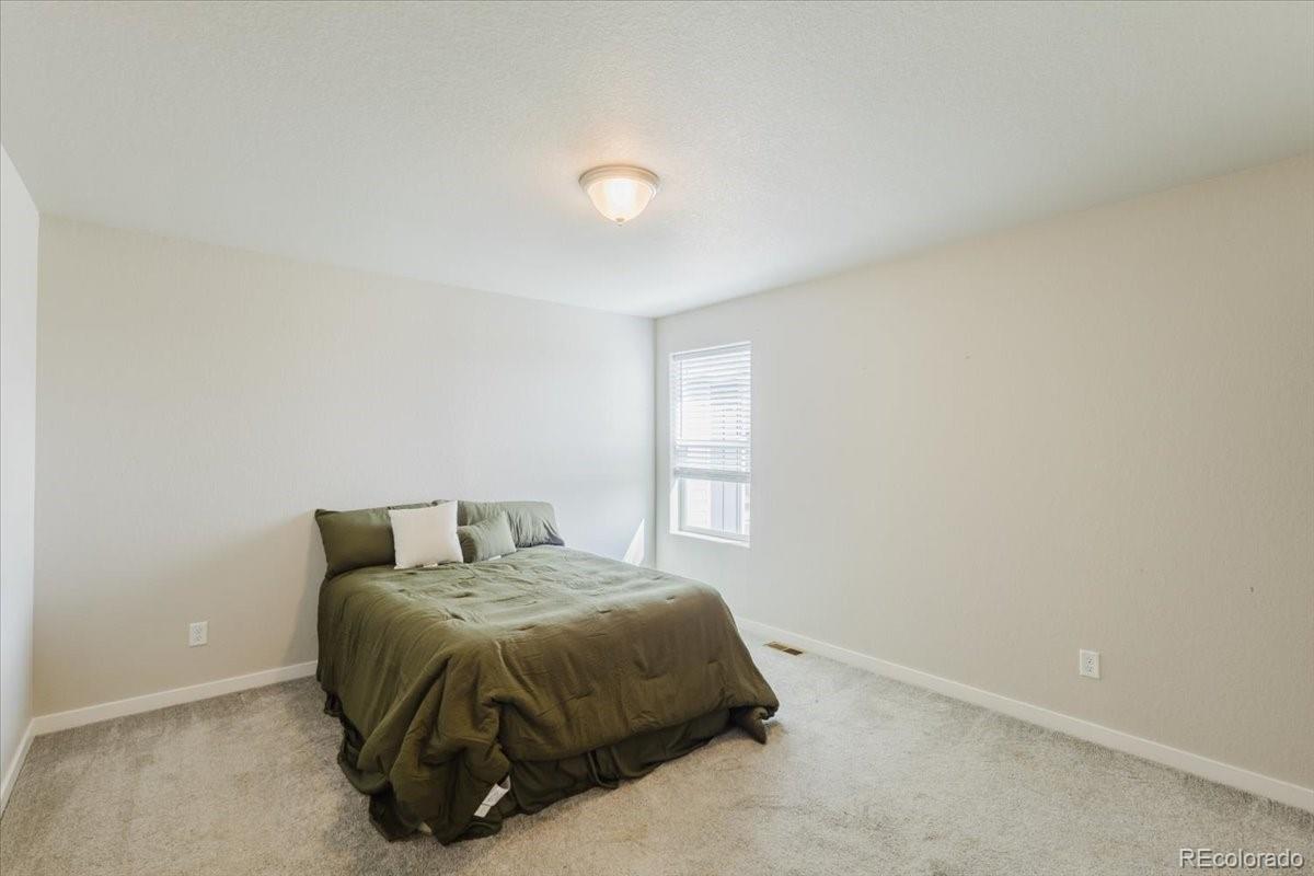 MLS Image #38 for 163  sabin way ,lochbuie, Colorado