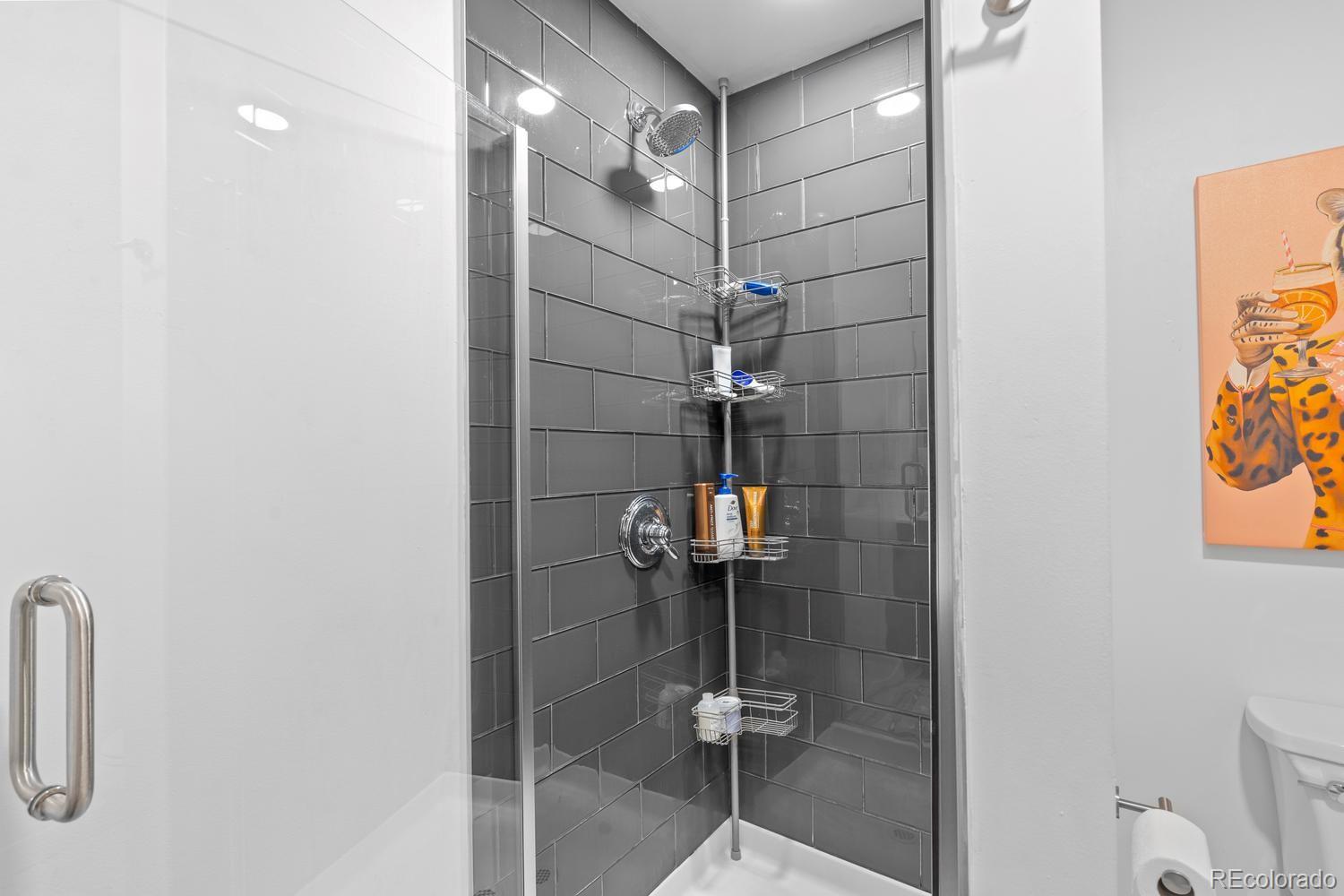 MLS Image #30 for 925 n lincoln street 3f,denver, Colorado