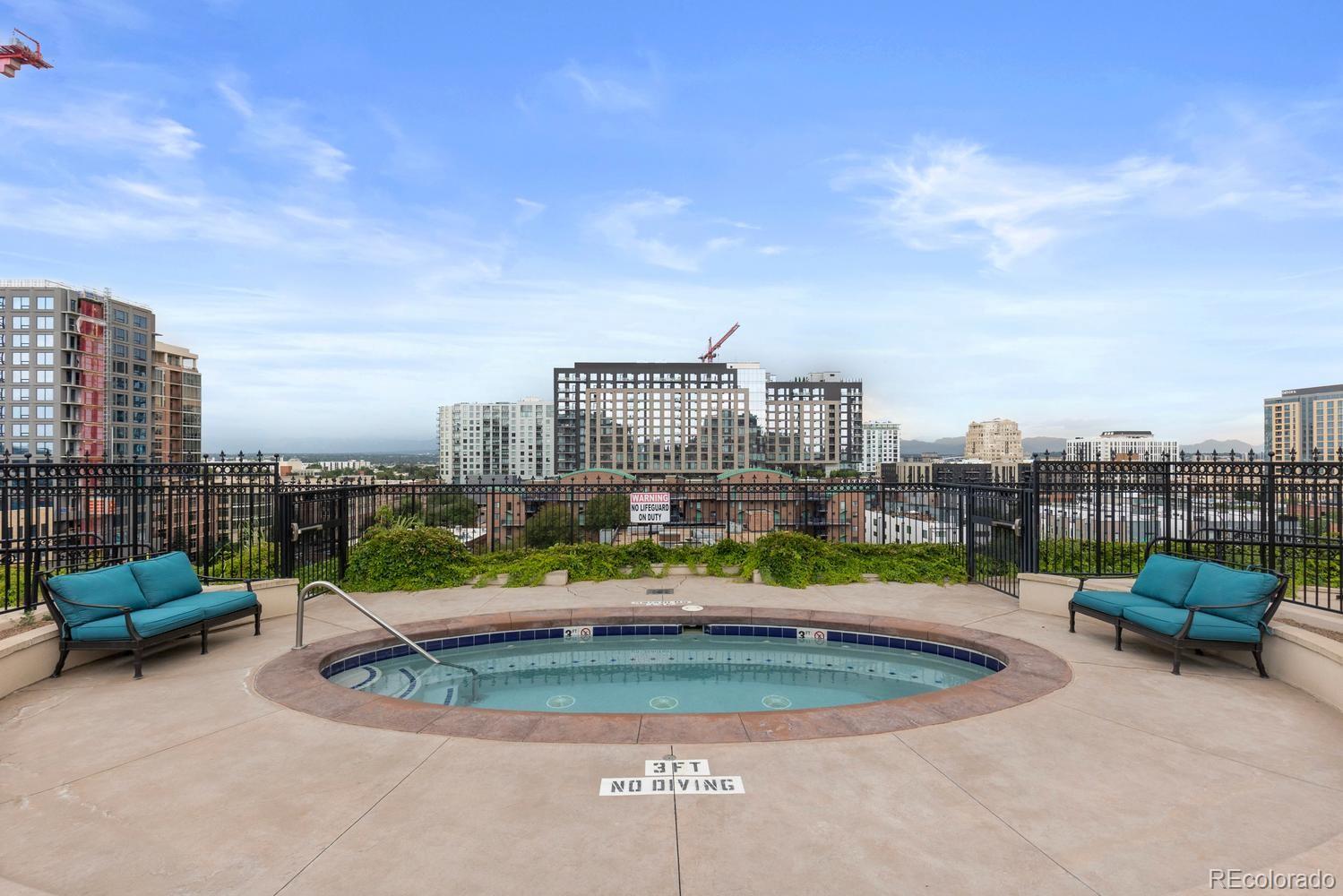 MLS Image #47 for 925 n lincoln street 3f,denver, Colorado