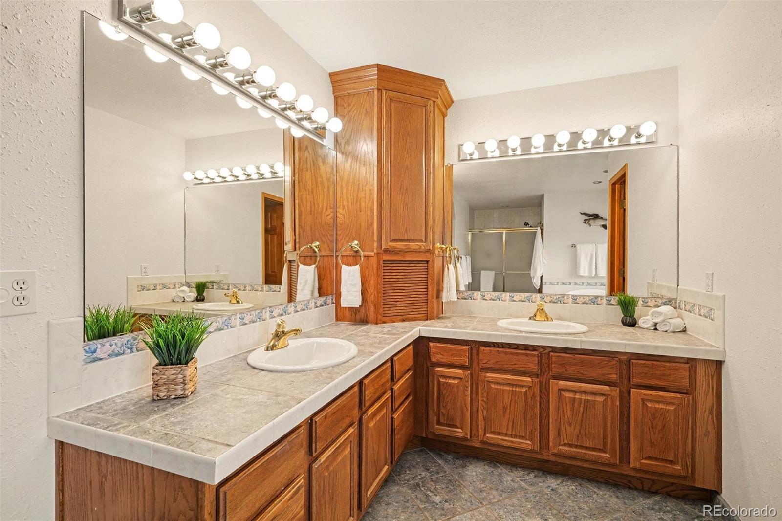 MLS Image #18 for 46746  sundance trail,parker, Colorado