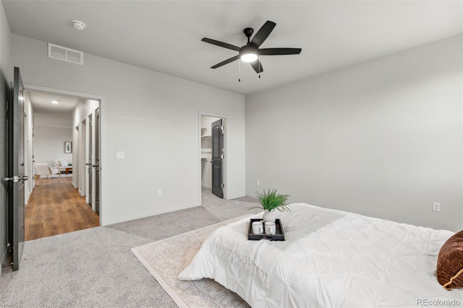 MLS Image #22 for 832 e loma drive,pueblo west, Colorado