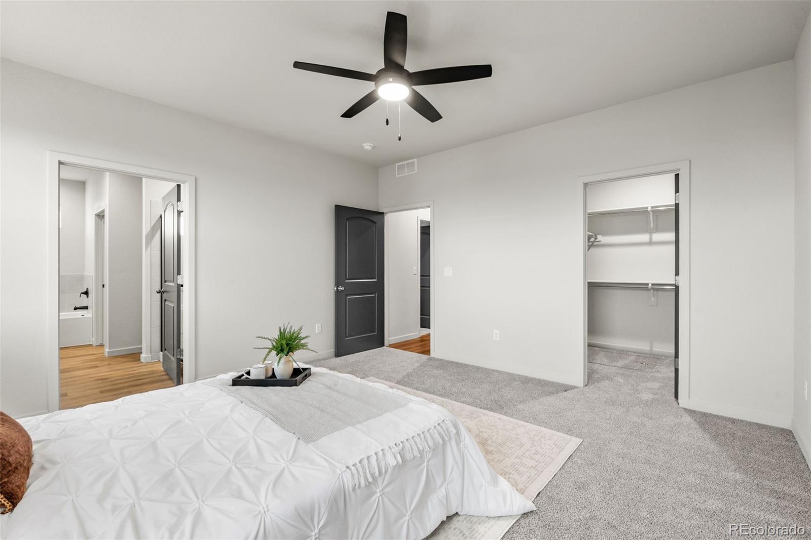 MLS Image #23 for 832 e loma drive,pueblo west, Colorado