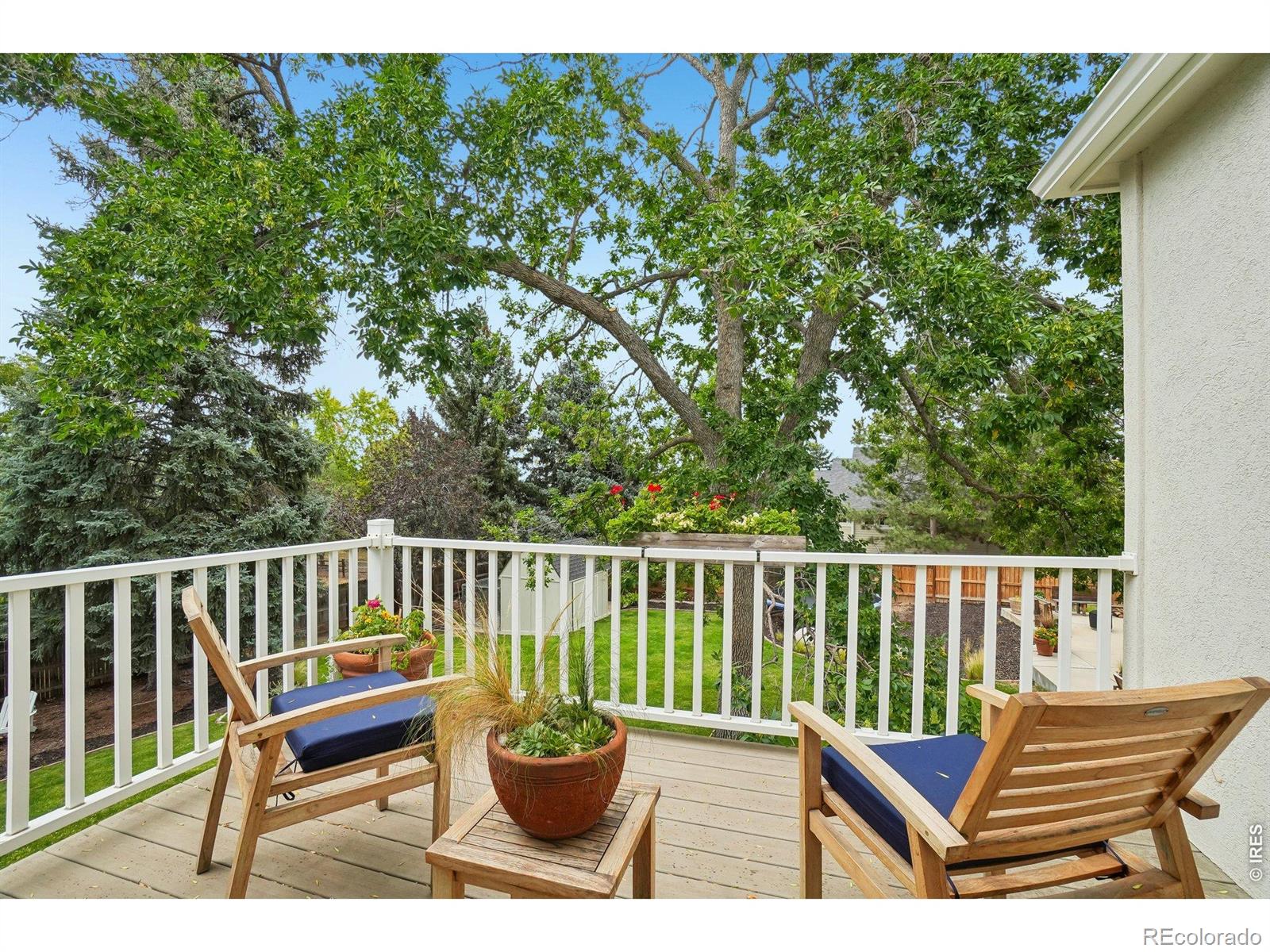 MLS Image #36 for 6766  audubon avenue,niwot, Colorado