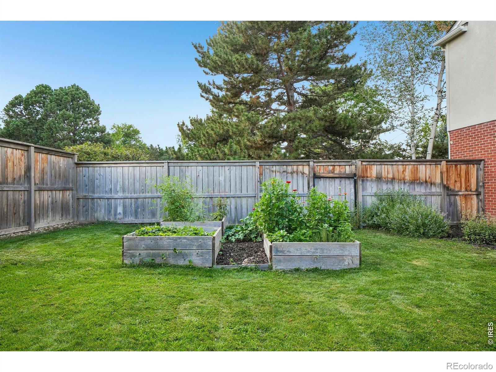 MLS Image #39 for 6766  audubon avenue,niwot, Colorado