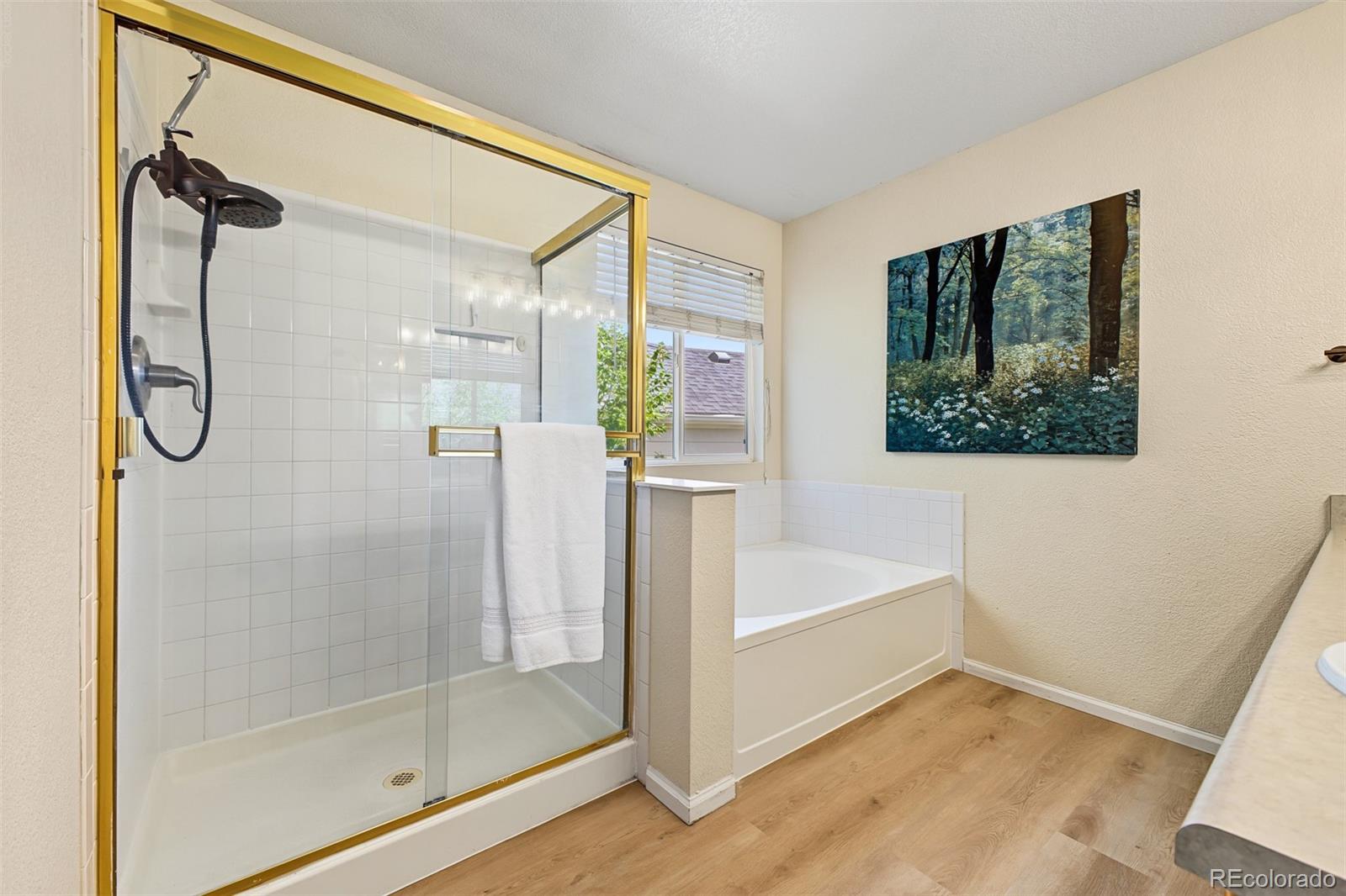 MLS Image #23 for 11645  stoneybrooke street,parker, Colorado