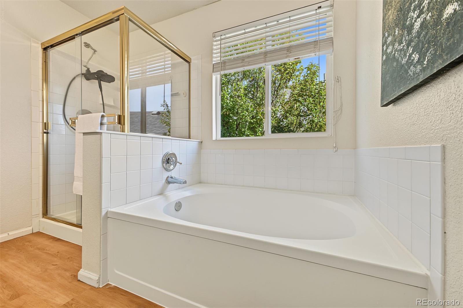 MLS Image #25 for 11645  stoneybrooke street,parker, Colorado