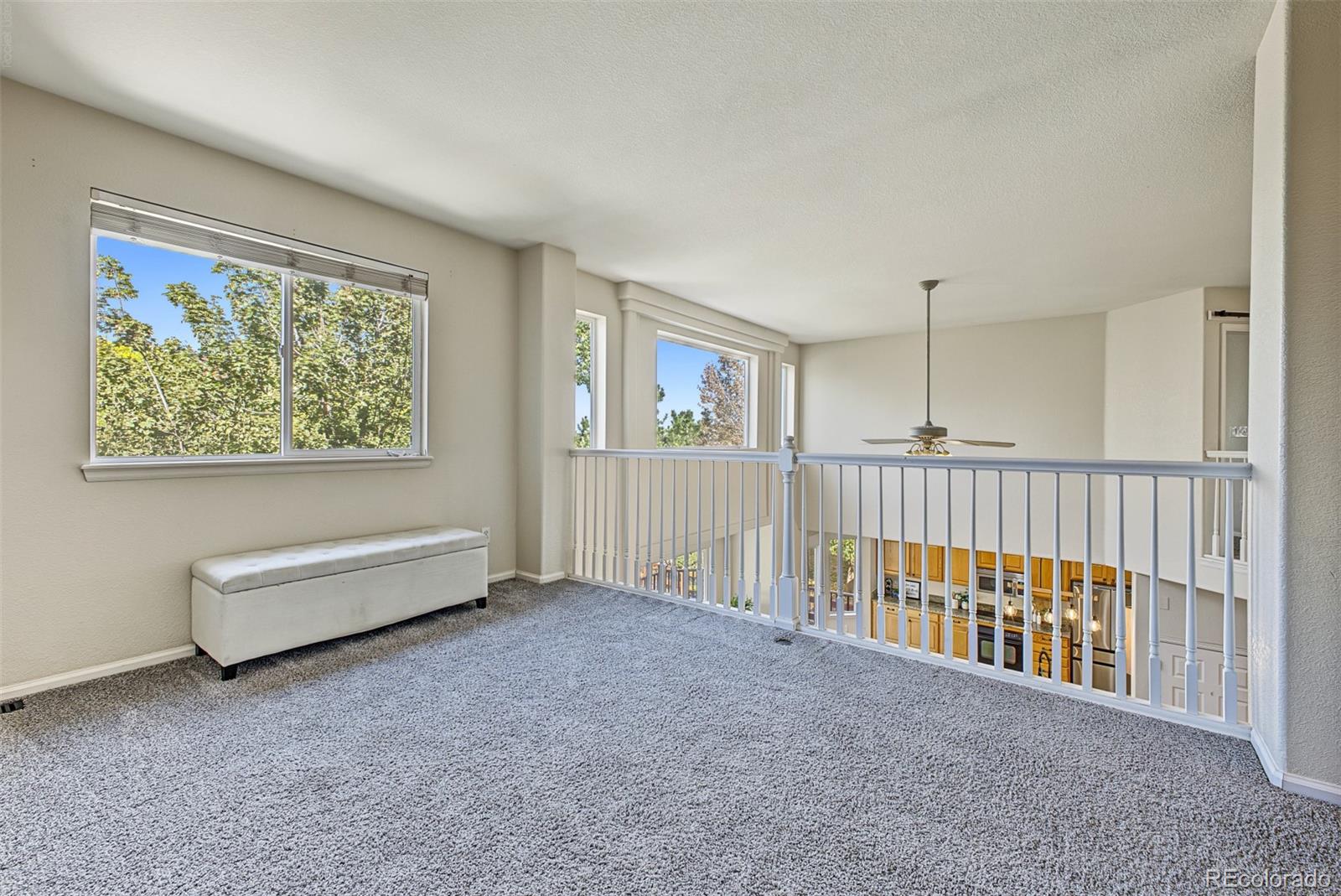 MLS Image #36 for 11645  stoneybrooke street,parker, Colorado