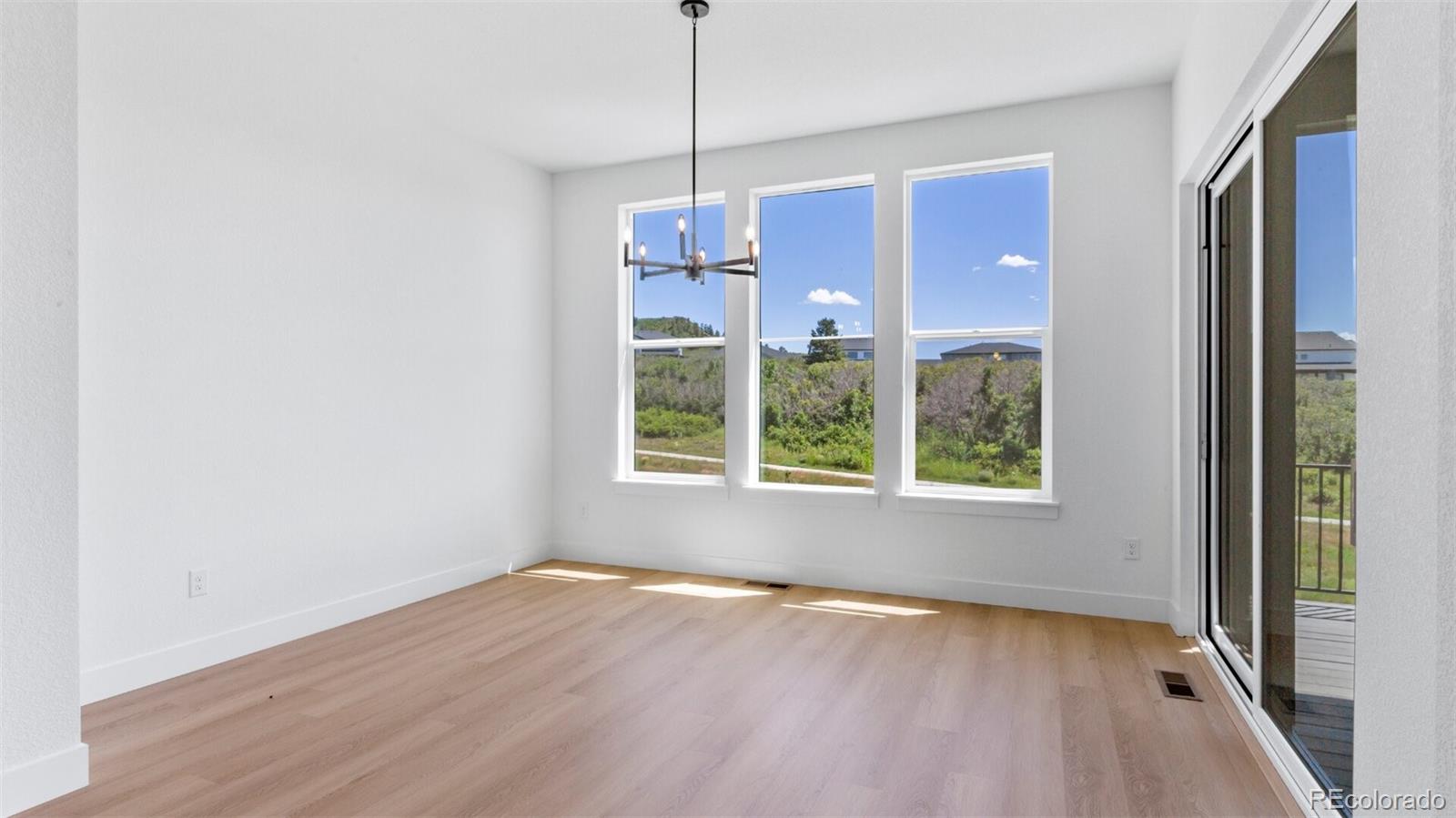 MLS Image #10 for 1037  coal bank trail,castle rock, Colorado