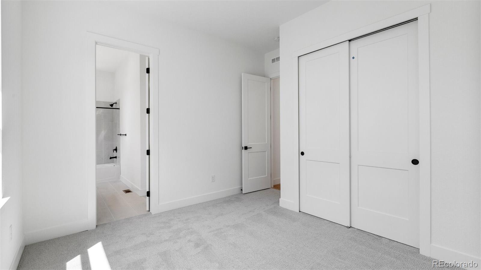 MLS Image #13 for 1037  coal bank trail,castle rock, Colorado