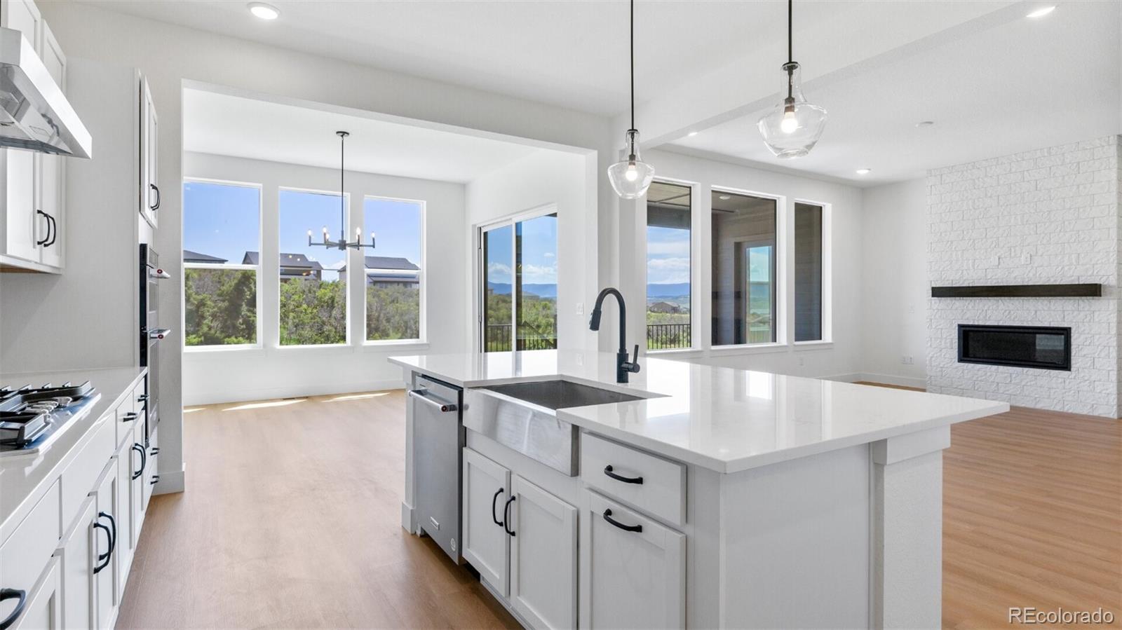MLS Image #3 for 1037  coal bank trail,castle rock, Colorado