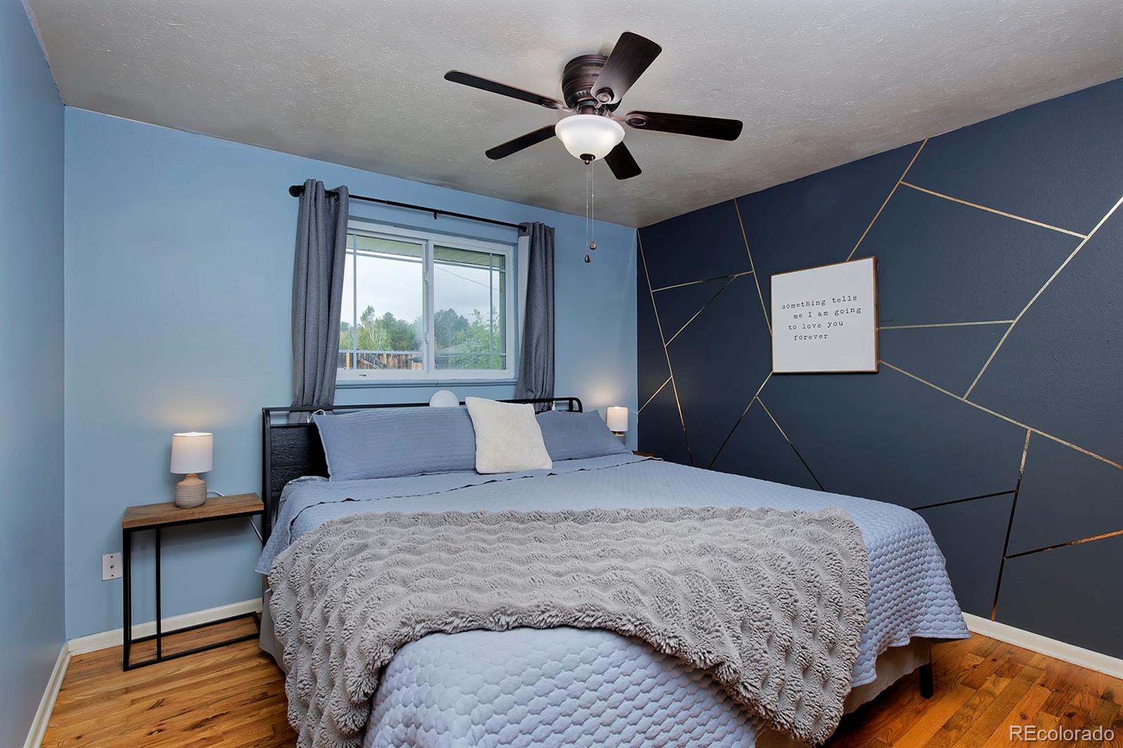MLS Image #10 for 7255  xavier street,westminster, Colorado
