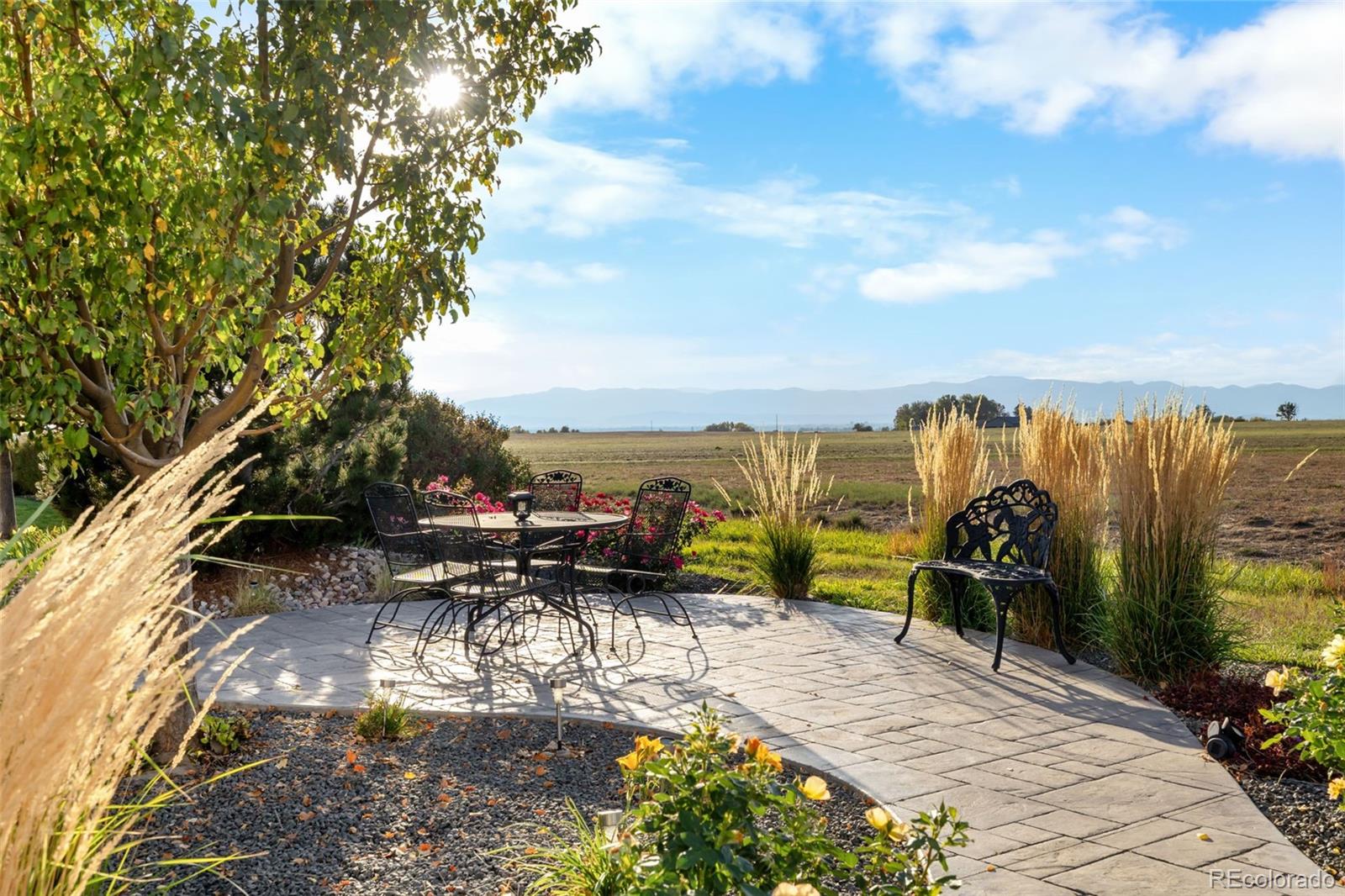 MLS Image #41 for 303  duesenberg lane,fort collins, Colorado