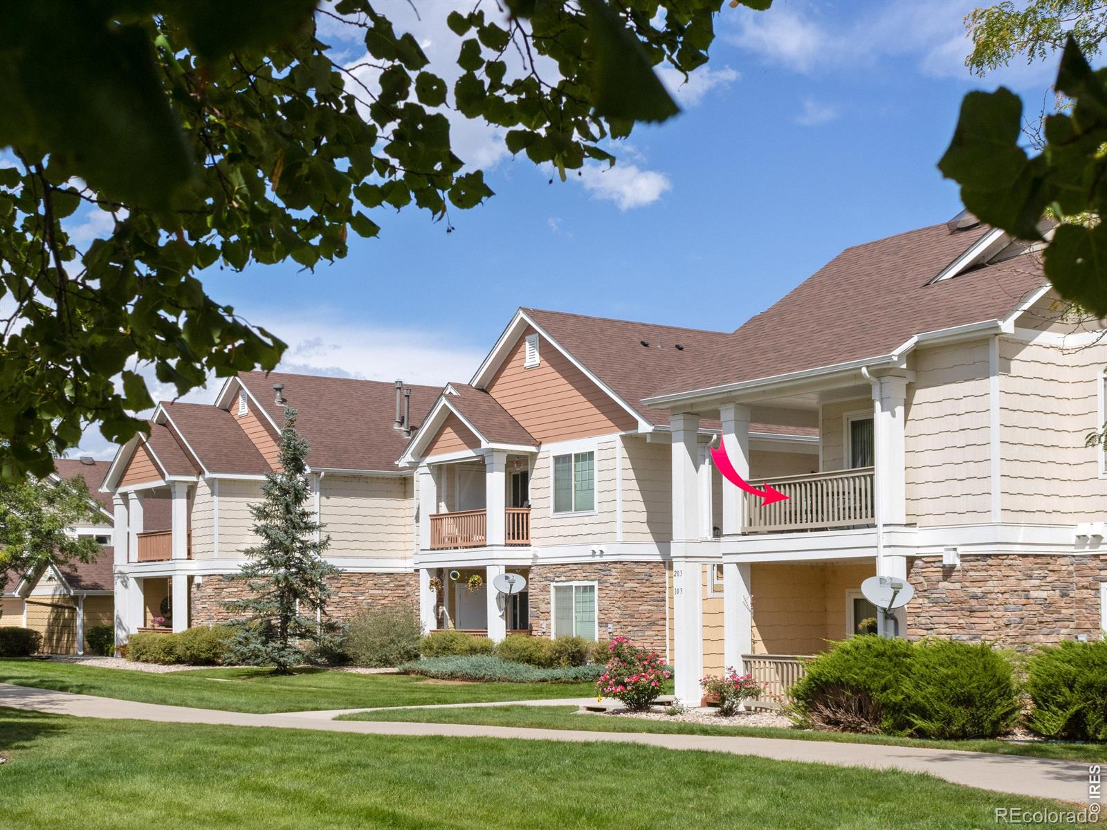 MLS Image #20 for 4615  hahns peak drive,loveland, Colorado