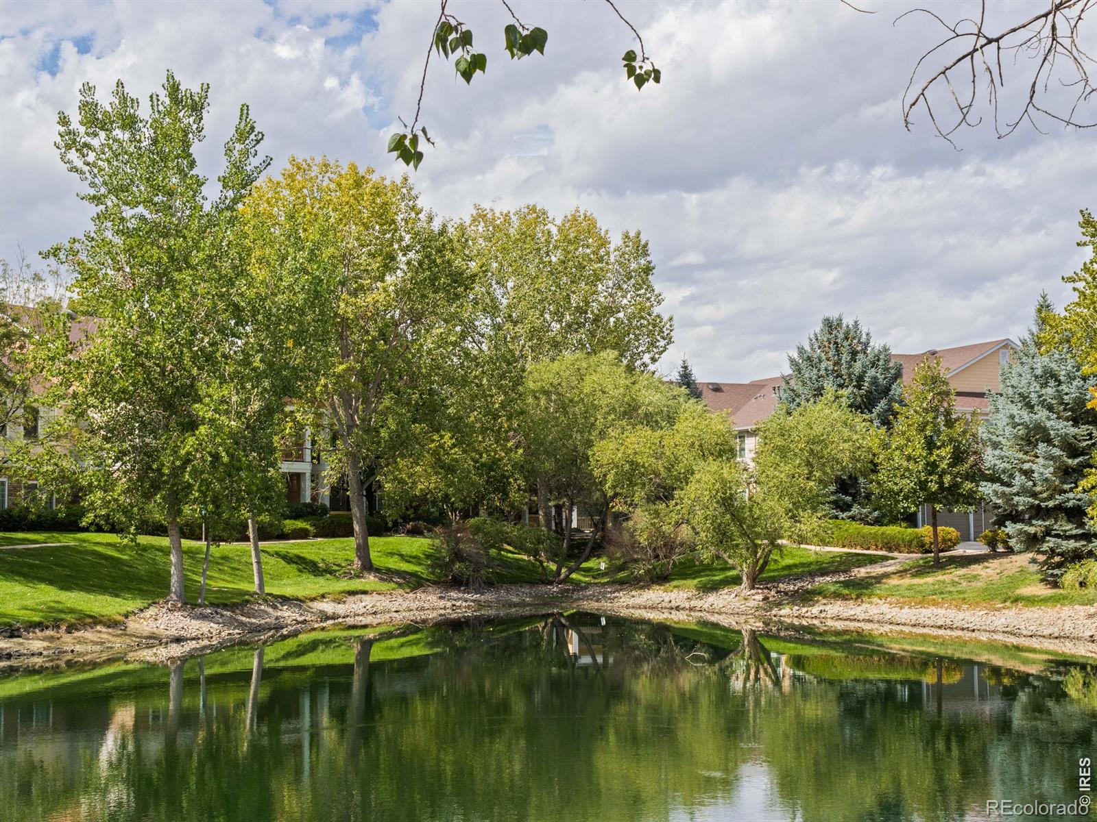 MLS Image #22 for 4615  hahns peak drive,loveland, Colorado