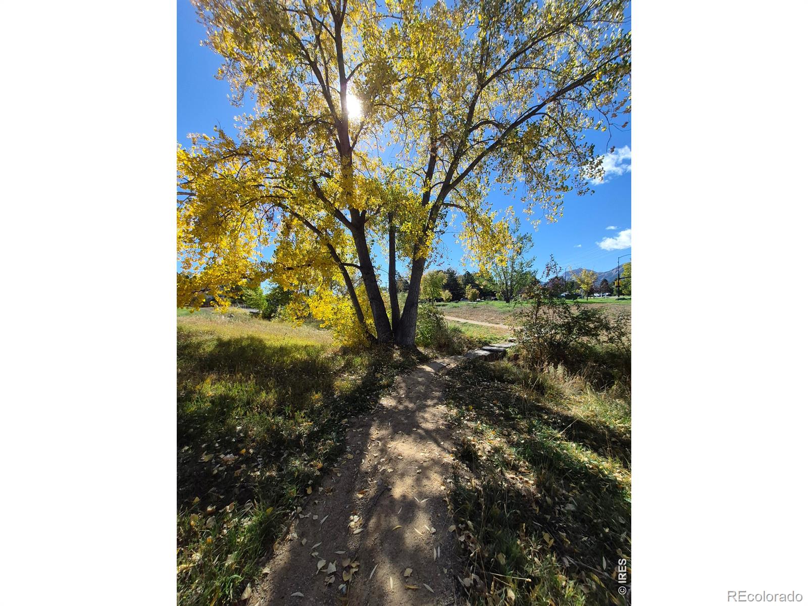 MLS Image #21 for 2800  kalmia avenue,boulder, Colorado
