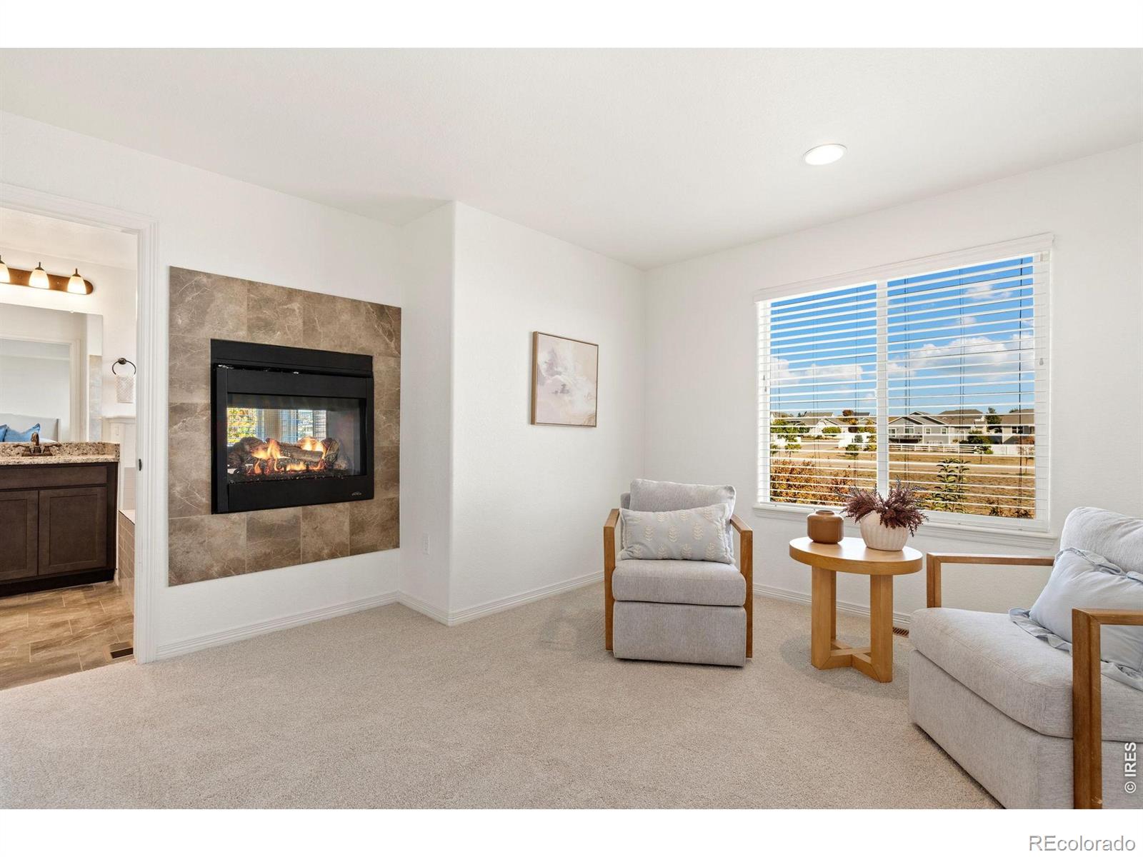 MLS Image #17 for 5447  bexley drive,windsor, Colorado