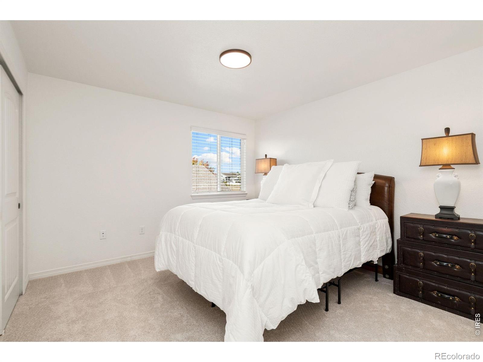MLS Image #22 for 5447  bexley drive,windsor, Colorado