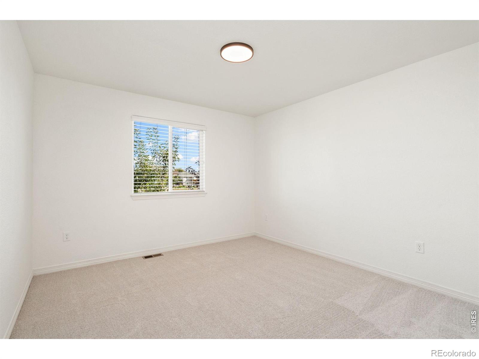 MLS Image #23 for 5447  bexley drive,windsor, Colorado