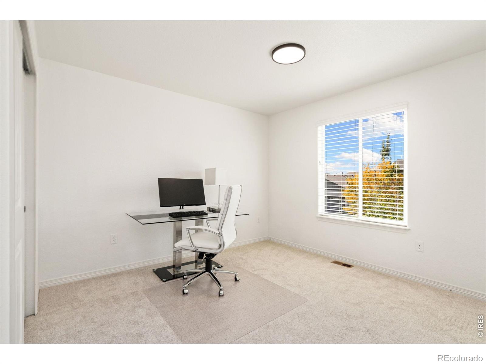 MLS Image #25 for 5447  bexley drive,windsor, Colorado